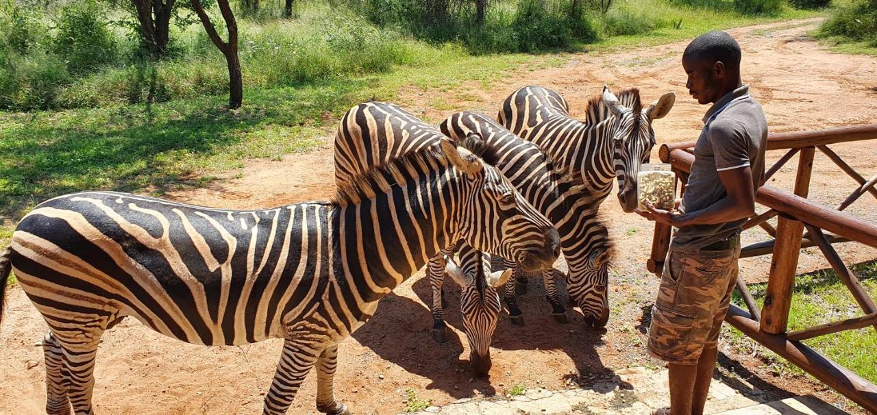 Villa Giraffe Plains Marloth Park Exterior foto