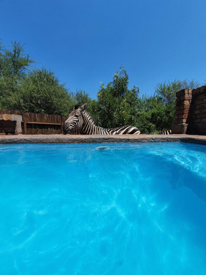 Villa Giraffe Plains Marloth Park Exterior foto