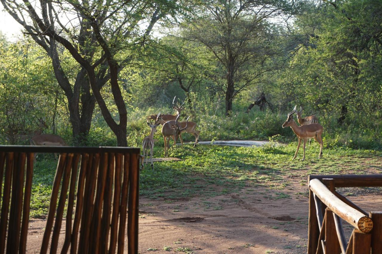 Villa Giraffe Plains Marloth Park Exterior foto