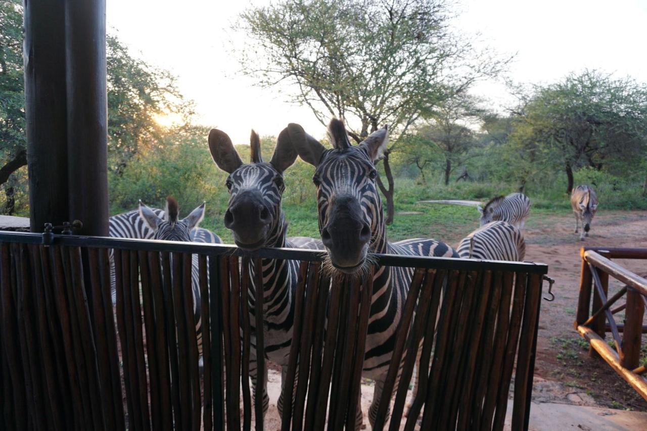 Villa Giraffe Plains Marloth Park Exterior foto
